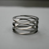 Belleville Disc Spring